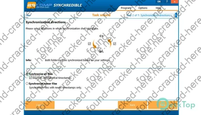 Synchredible Professional Serial key
